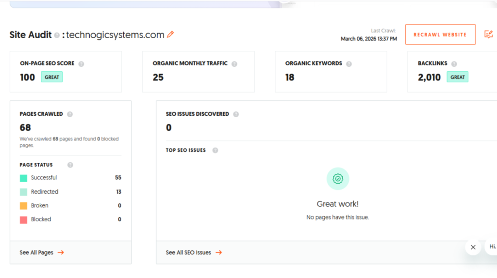 SEO site audit dashboard showing on page SEO score 100 organic traffic keywords and backlinks analysis